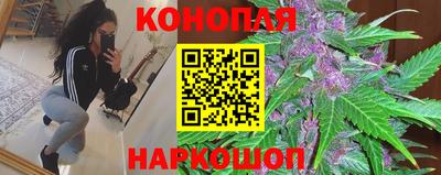 сатива Баксан